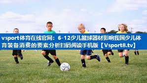 vsport体育在线官网：6-12少儿篮球器材影响我国少儿体育装备消费的要素分析扫码阅读手机版