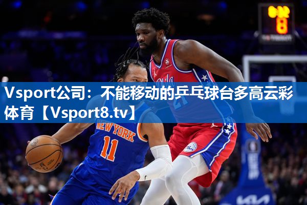 Vsport公司：不能移动的乒乓球台多高云彩体育