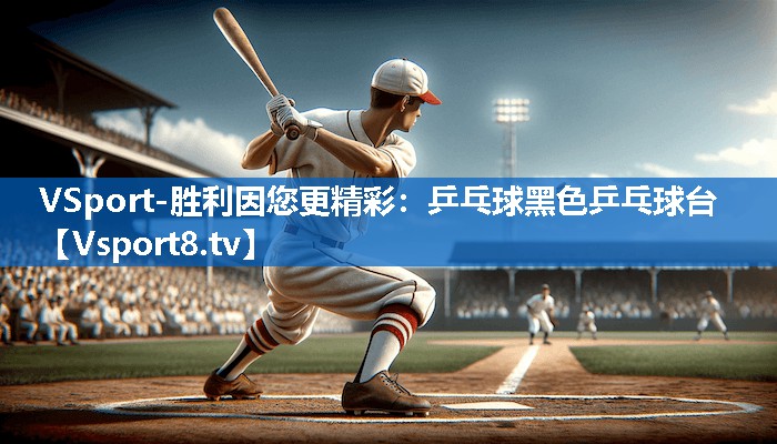 VSport-胜利因您更精彩：乒乓球黑色乒乓球台