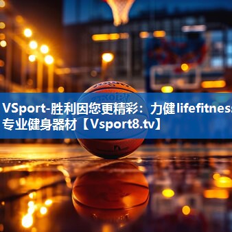 VSport-胜利因您更精彩：力健lifefitness专业健身器材