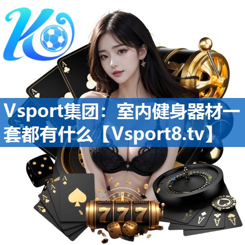 Vsport集团：室内健身器材一套都有什么