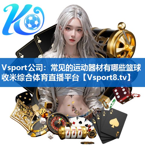 Vsport公司：常见的运动器材有哪些篮球收米综合体育直播平台