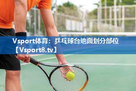 Vsport体育：乒乓球台地面划分部位