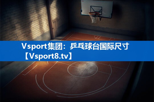 Vsport集团：乒乓球台国际尺寸