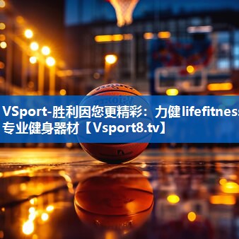 力健lifefitness专业健身器材